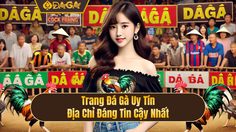 Trang Đá Gà Uy Tín – Địa Chỉ Đáng Tin Cậy Nhất